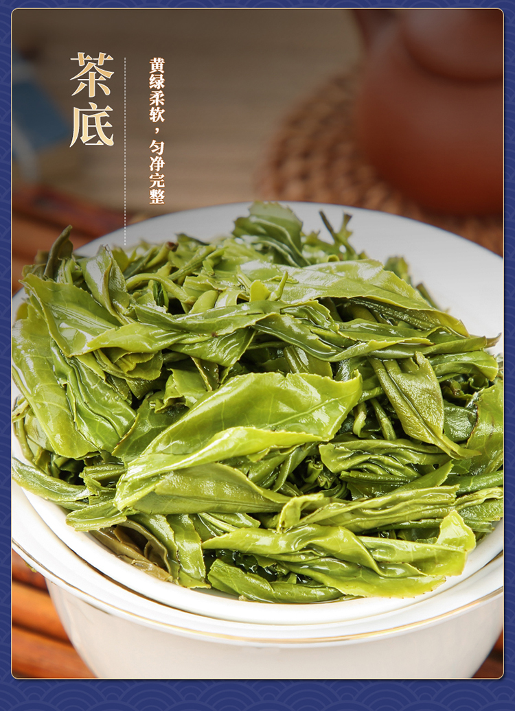 2022明前春茶象窝茶新茶9号二星绿茶罐装125g