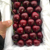 【特级甜美美早大樱桃来喽】产地极缺，外观好、有光泽、份量比较重、因为满足自然条件生长，果实饱满，且吃且珍惜👍清甜爽口 商品缩略图4