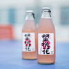 好望水望山楂汁饮料0脂肪山楂气泡水新中式解腻果汁300ml*6 商品缩略图1