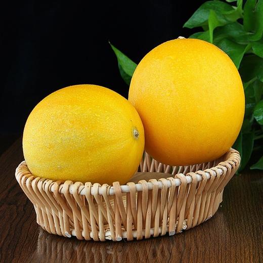黄河蜜瓜新鲜水果当季现摘甜瓜 商品图5