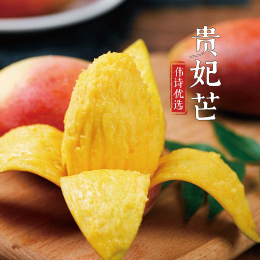 【伟诗优选】树上熟贵妃芒果 商品图2