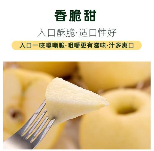 【建发物业臻选】维纳斯黄金苹果 4.5斤， 香气独特 出口级新鲜时令水果，精选果 ，10-12个 商品图3