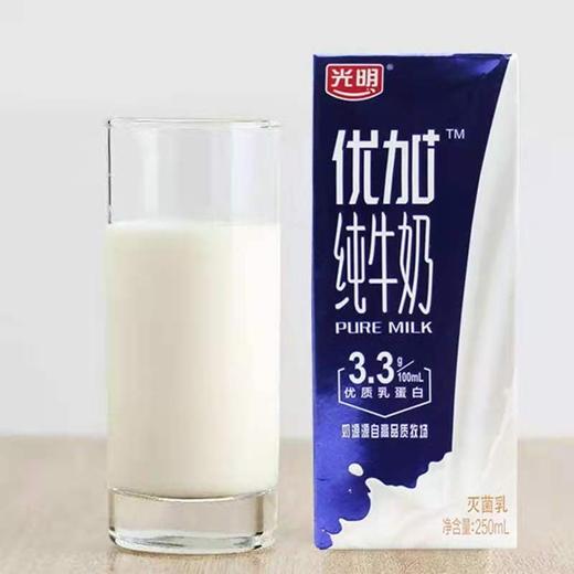 光明优加纯牛奶250ml*12盒 商品图2