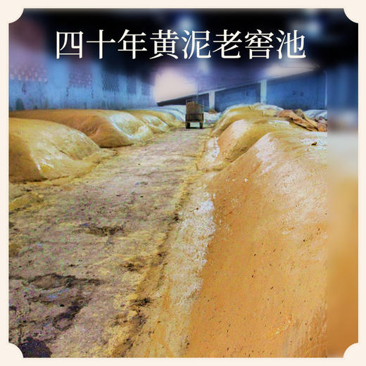 【5种粮食精酿】65度原浆白酒 不加香精勾兑 泡青梅樱桃中药酒 商品图3