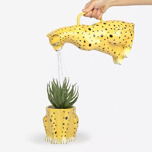 【DOIY】花豹浇水壶，陶瓷园艺花盆 商品图1