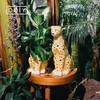 【DOIY】花豹浇水壶，陶瓷园艺花盆 商品缩略图0