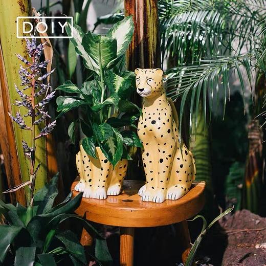【DOIY】花豹浇水壶，陶瓷园艺花盆 商品图0