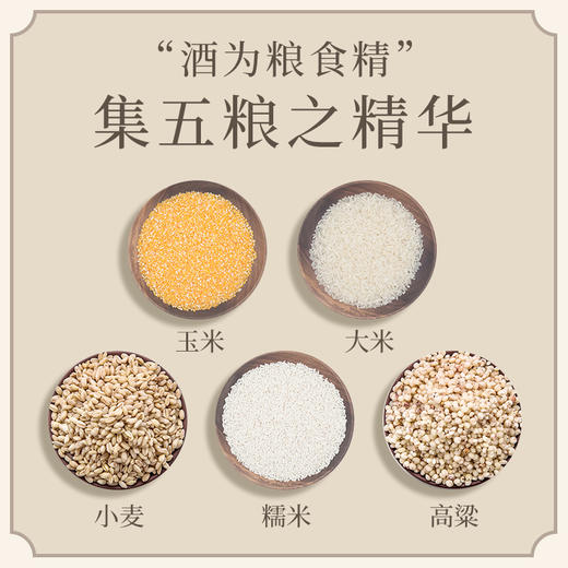 【5种粮食精酿】65度原浆白酒 不加香精勾兑 泡青梅樱桃中药酒 商品图2