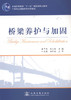 桥梁养护与加固/普通高等教育“十一五”*规划教材 商品缩略图1