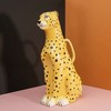 【DOIY】花豹浇水壶，陶瓷园艺花盆 商品缩略图2