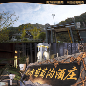 中国南方葡萄沟酒庄（展示券）