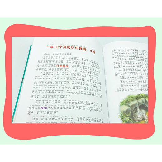 【第二辑】儿童文学世界名著彩图拼音精装版10册 商品图2