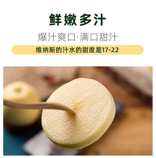 【建发物业臻选】维纳斯黄金苹果 4.5斤， 香气独特 出口级新鲜时令水果，精选果 ，10-12个 商品图4