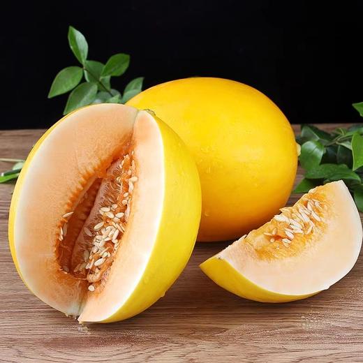 黄河蜜瓜新鲜水果当季现摘甜瓜 商品图0
