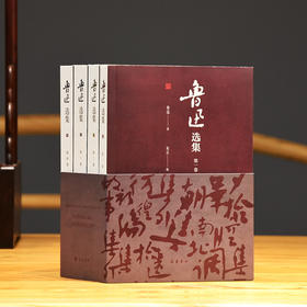 鲁迅选集 朱正 岳麓书社