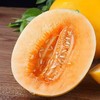 黄河蜜瓜新鲜水果当季现摘甜瓜 商品缩略图4