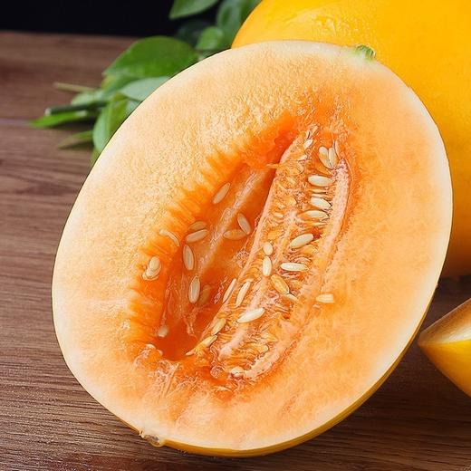 黄河蜜瓜新鲜水果当季现摘甜瓜 商品图4