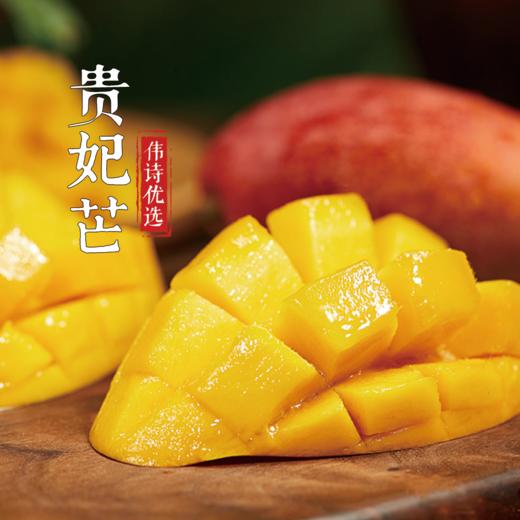 【伟诗优选】树上熟贵妃芒果 商品图0