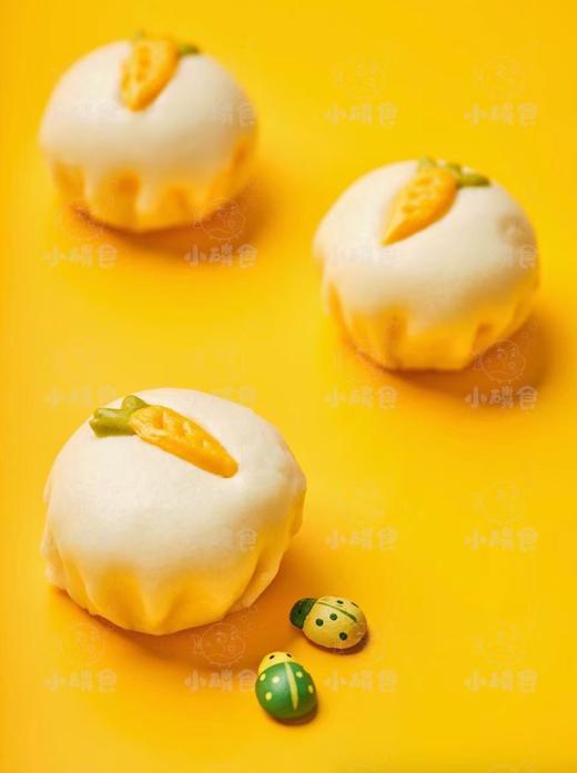 胡萝卜肉包
4月7日开始发货 商品图2