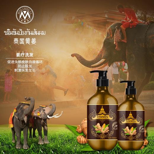 黄姜防脱固发洗发露720ml 商品图0