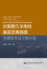 抗裂耐久半刚性基层沥青路面关键技术及工程示范 商品缩略图3