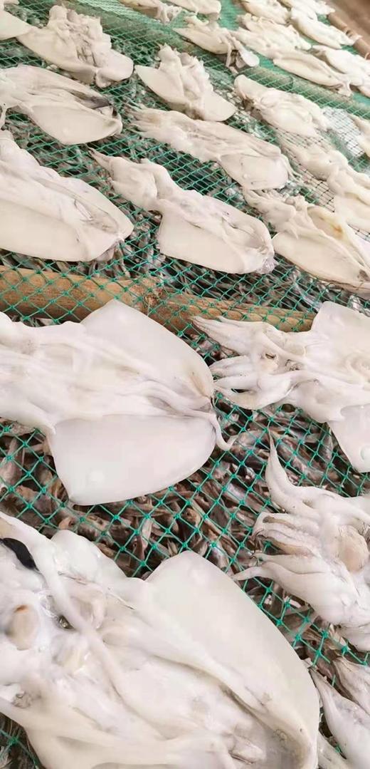 青岛海捕墨鱼自家晾晒墨鱼干干货500克 商品图3