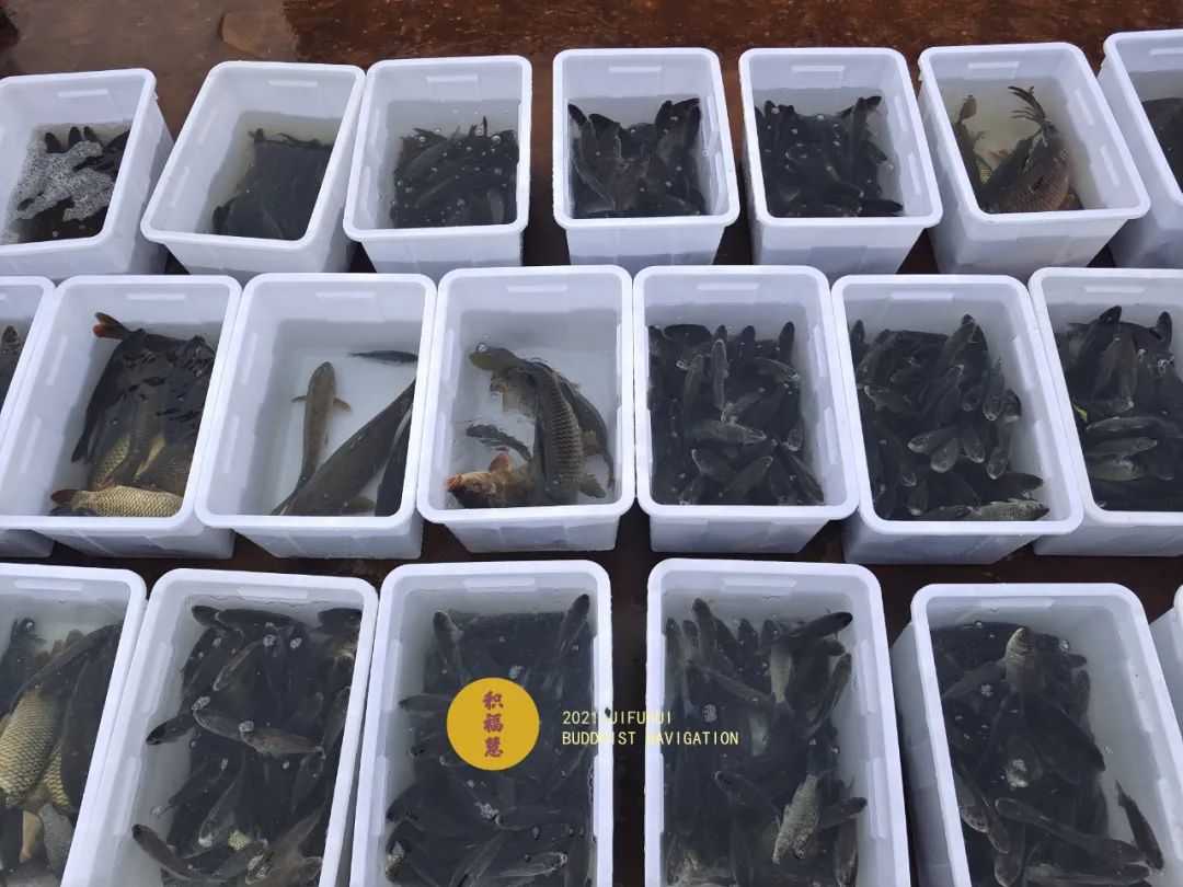 ��������������������ڷ������ޣ���Բ����