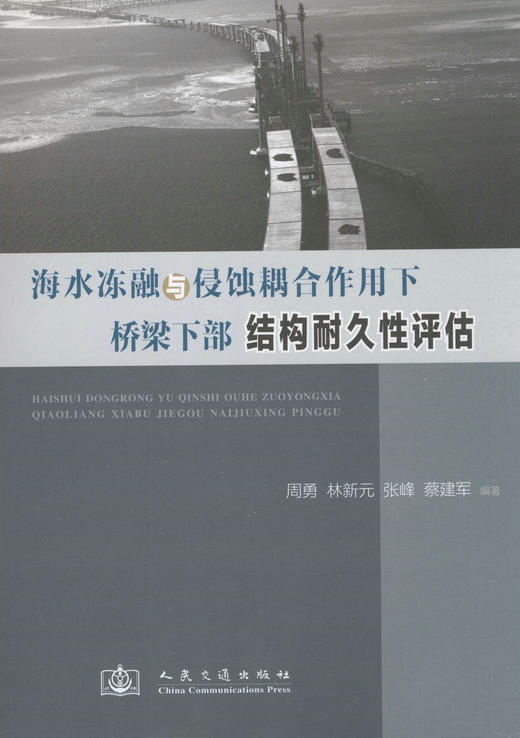 海水冻融与侵蚀耦合作用下桥梁下部结构耐久性评估 商品图1