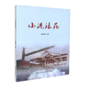 正版现货 小港浪花 邓焕彬 关于珠三角交通一体化的建议 轨道交通 高速公路 珠三角城际快速轨道交通的建议