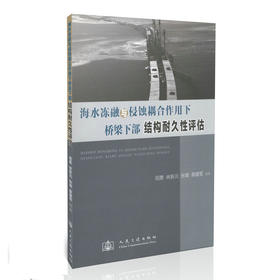 海水冻融与侵蚀耦合作用下桥梁下部结构耐久性评估