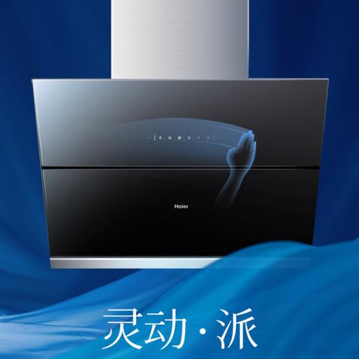 海尔（Haier）烟机CXW-219-E900C11S 商品图0