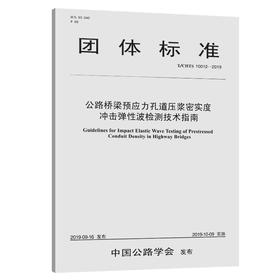 公路桥梁预应力孔道压浆密实度冲击弹性波检测技术指南（T/CHTS  10012—2019）