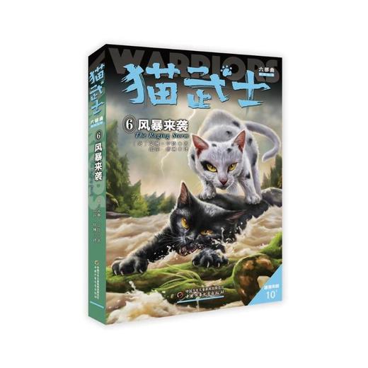 猫武士六部曲 6 风暴来袭   商品图0