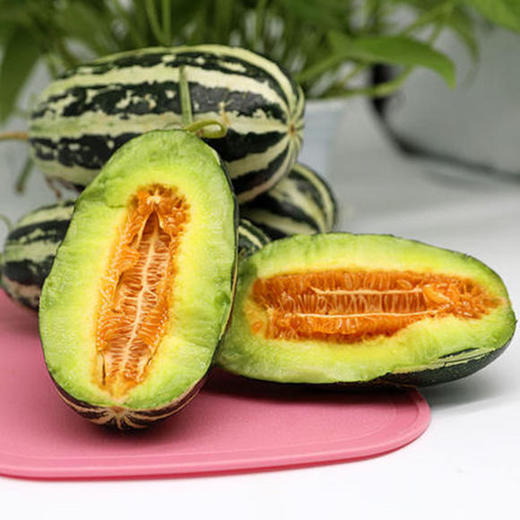 博阳9号甜瓜 商品图0