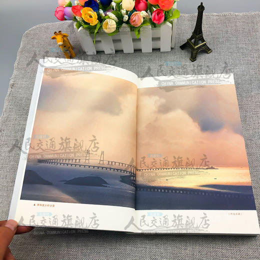 磨剑十二年-----港珠澳岛隧工程建设纪实 商品图4