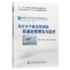 长江中下游分汊河段航道治理理论与技术 商品缩略图5