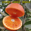 正宗新鲜玫瑰血橙 仅售25/2500g 商品缩略图5