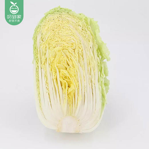 云南新鲜大娃娃菜/1份（1.2kg±100g） 商品图1