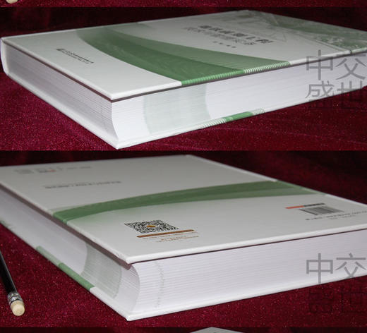 地铁前期工程技术与管理实务  胡鹰 地铁设计地铁监理地铁施工地铁绿化迁移地铁交通疏解地铁管线改迁工程 人民交通出版社 商品图3