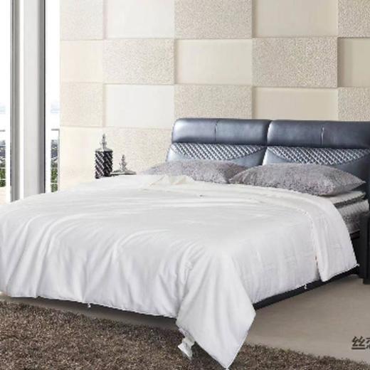 南5堂皇丝恋桑蚕丝春秋被 商品图0