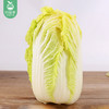 云南新鲜大娃娃菜/1份（1.2kg±100g） 商品缩略图5