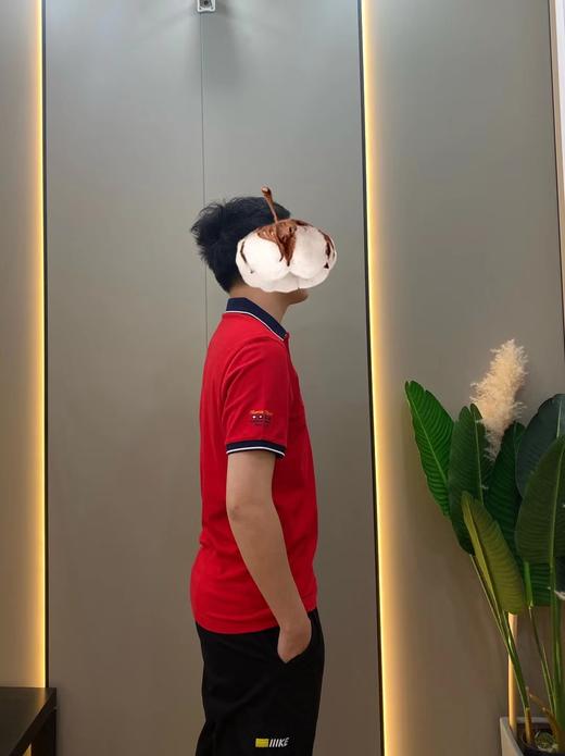 男反领短B01170 商品图2