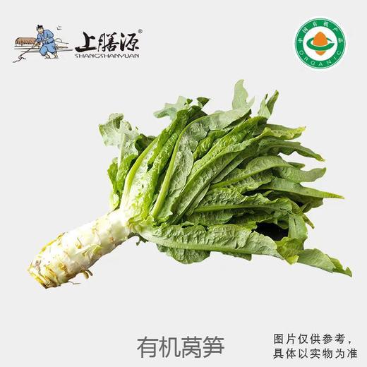有机莴笋 商品图0