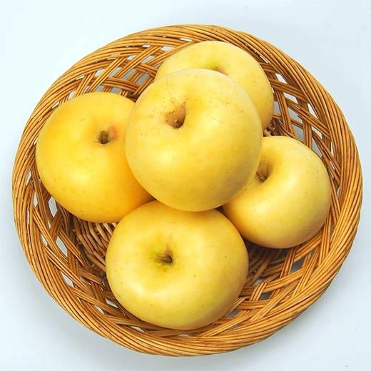 业主福利~【日本原种金星苹果】约5斤/11斤，日本皇室御用苹果 商品图2