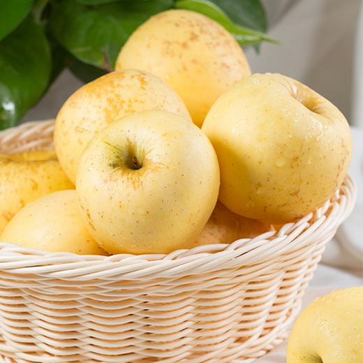 业主福利~【日本原种金星苹果】约5斤/11斤，日本皇室御用苹果 商品图1