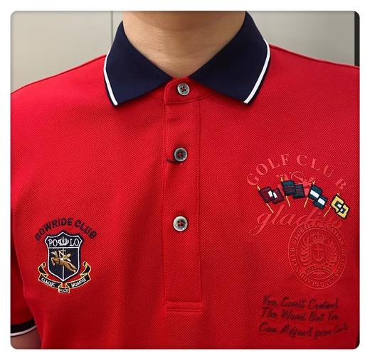 男反领短B01170 商品图4