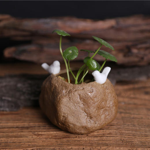 【为思礼合集】zakka花盆 花器 Q萌系列 萌宠家族 创意家居陶瓷迷你花盆 商品图6