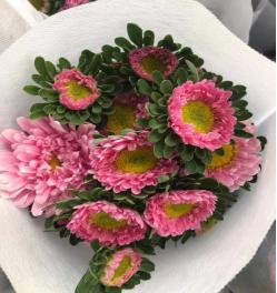 小翠菊（云南）10枝/扎 商品图0