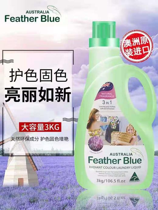 1F 羽花甘蓝系列洁净洗衣液 商品图3