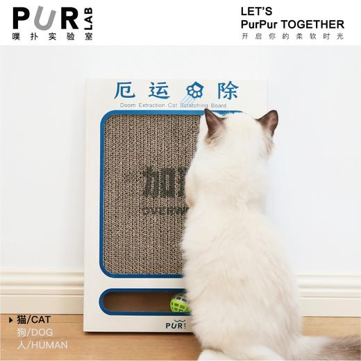 PurLab噗扑实验室厄运抓除猫抓板瓦楞纸磨爪耐抓耐磨猫玩具 商品图0